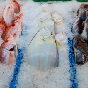 Fish on the counter at the store frozen fish on the counter at the supermarket