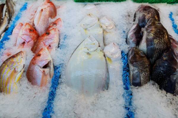 Fish on the counter at the store frozen fish on the counter at the supermarket